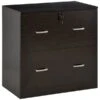 Vinsetto Espresso 2-Drawer File Cabinet