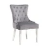TAKE ME HOME Modern Presi Grey Velvet Chair - Set Of 2 -Rona shop 331064935 MainImage 001 l